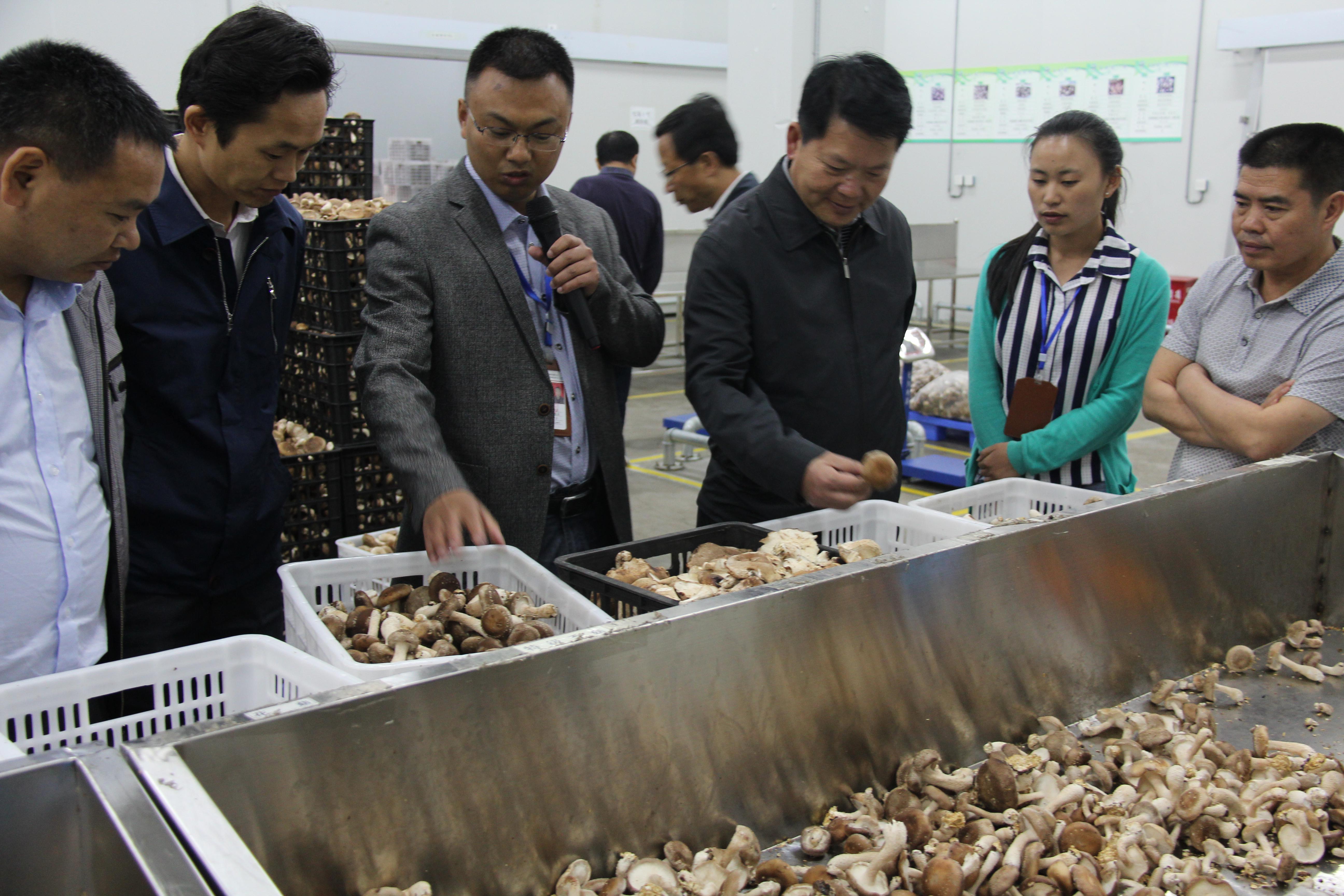 亚洲国产精品自产在线播放