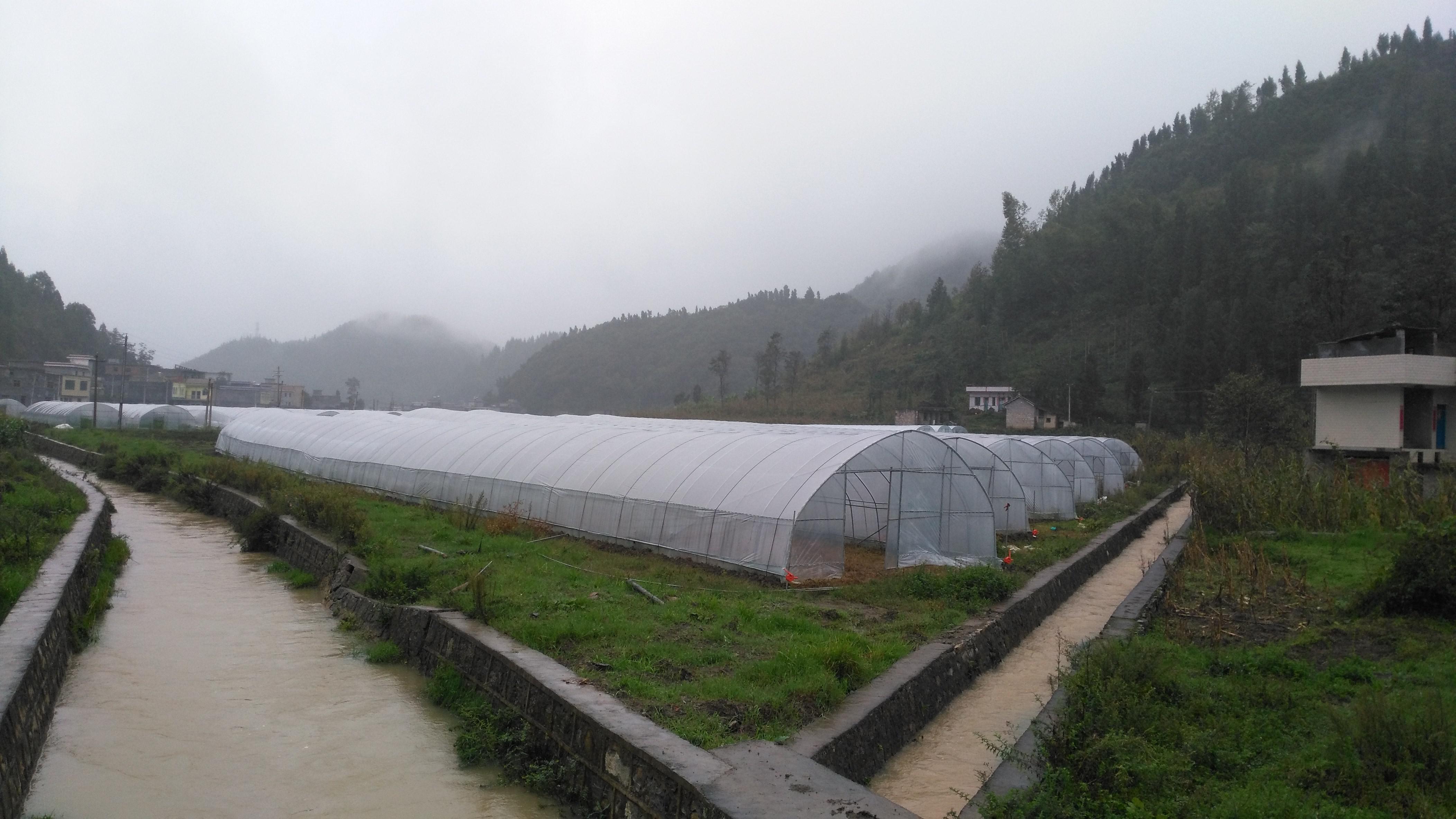 亚洲国产精品自产在线播放