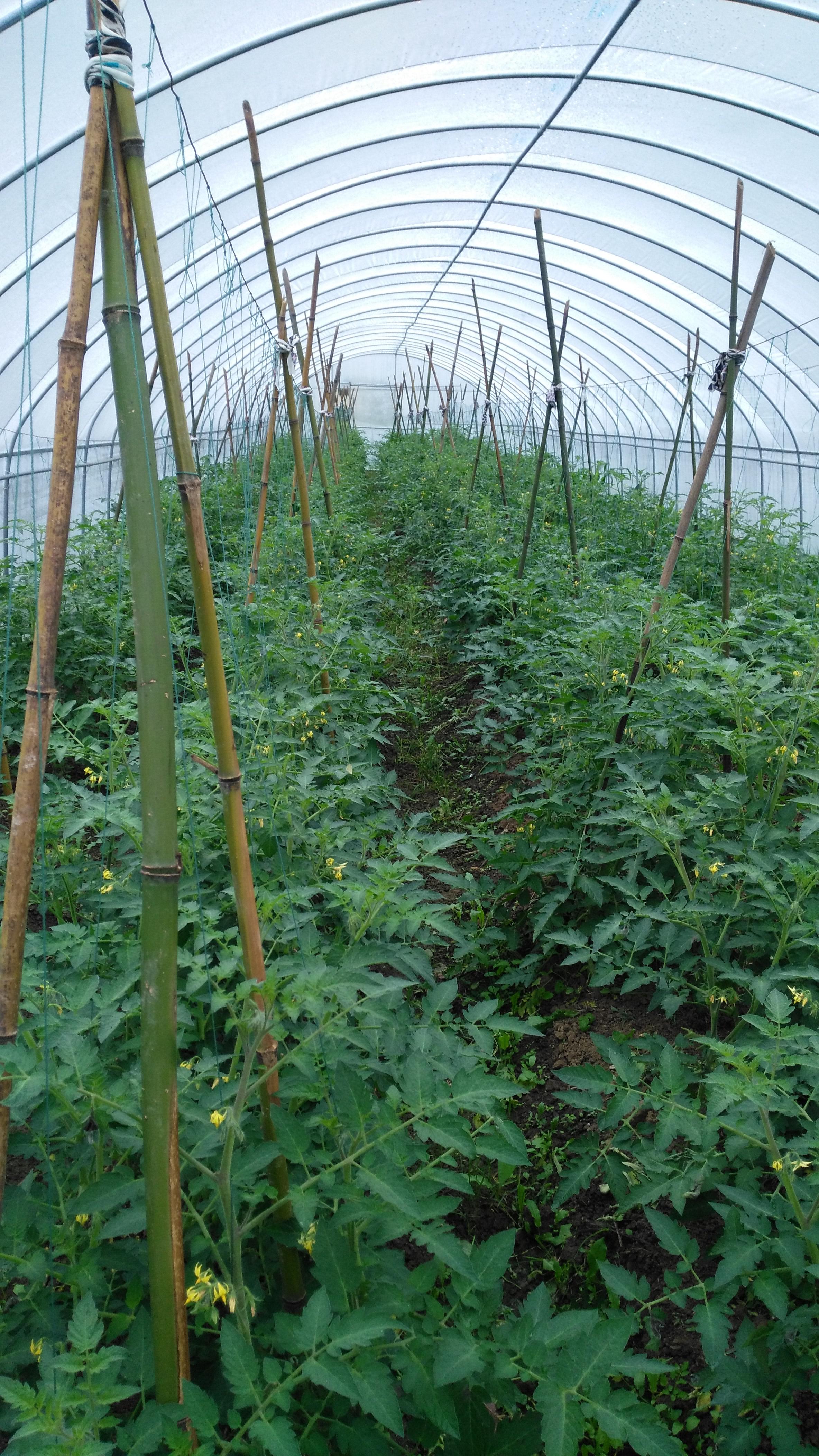 亚洲国产精品自产在线播放