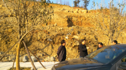 亚洲国产精品自产在线播放