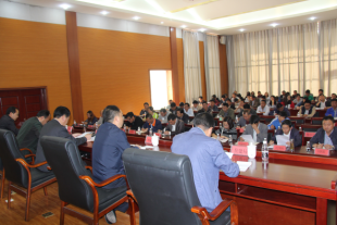 亚洲国产精品自产在线播放