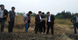 亚洲国产精品自产在线播放