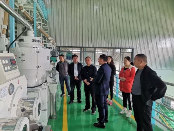 亚洲国产精品自产在线播放