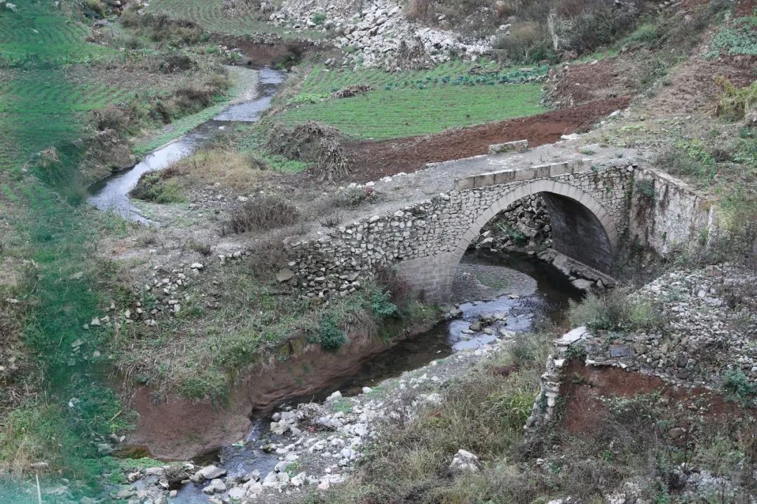 亚洲国产精品自产在线播放