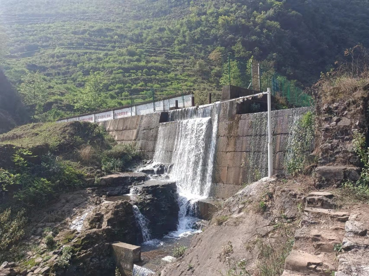 亚洲国产精品自产在线播放