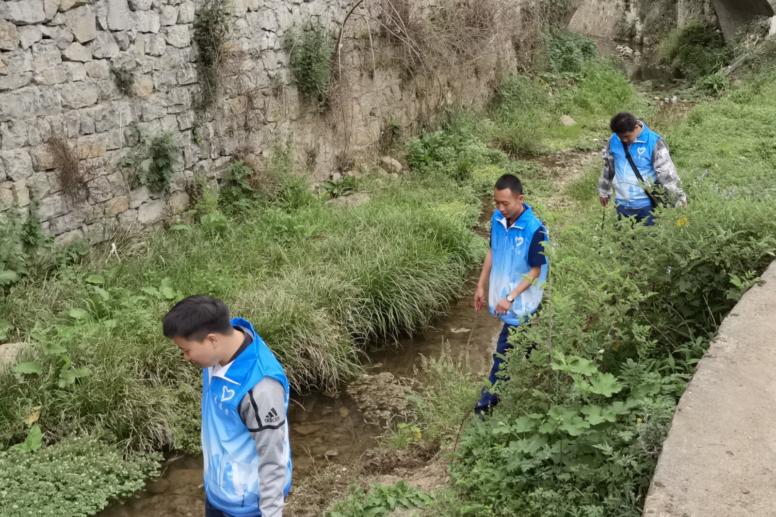 亚洲国产精品自产在线播放