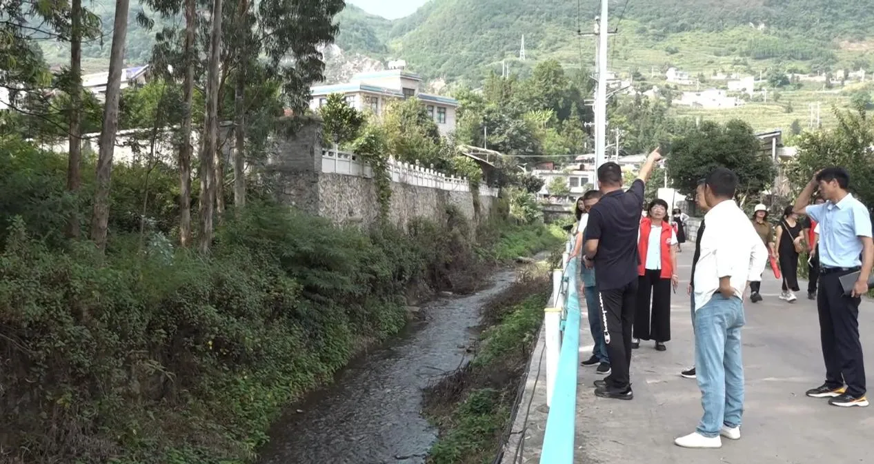 亚洲国产精品自产在线播放